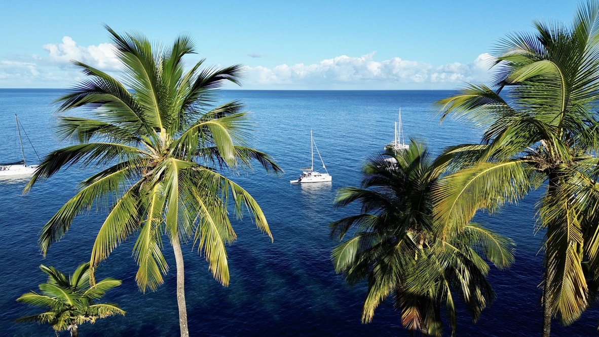 View through palm trees of sailboats anchored in a turquoise bay