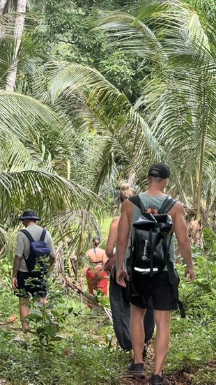 Crew hiking through a jungle trail lined with palm trees